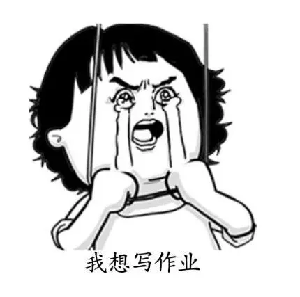 滴~滴滴！雛鷹計劃發車啦！(圖1)