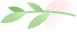 創新時(shí)穎 啓新征程 | 新時(shí)穎十五周年慶典暨新春啓動會隆重召開(圖2)