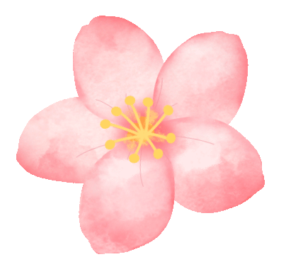 花樣年華 甜蜜約繪 | 新時(shí)穎公司慶祝三八國(guó)際勞動婦女節(圖3)