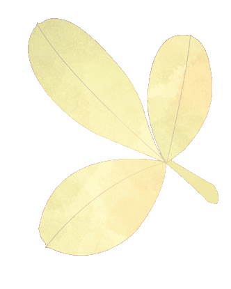 樂道(dào)拾遺 鯉好泉州 | 新時(shí)穎獨立站電商事業部爲(wéi / wèi)泉州非遺上(shàng)分(圖4)