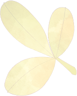 樂道(dào)拾遺 鯉好泉州 | 新時(shí)穎獨立站電商事業部爲(wéi / wèi)泉州非遺上(shàng)分(圖8)